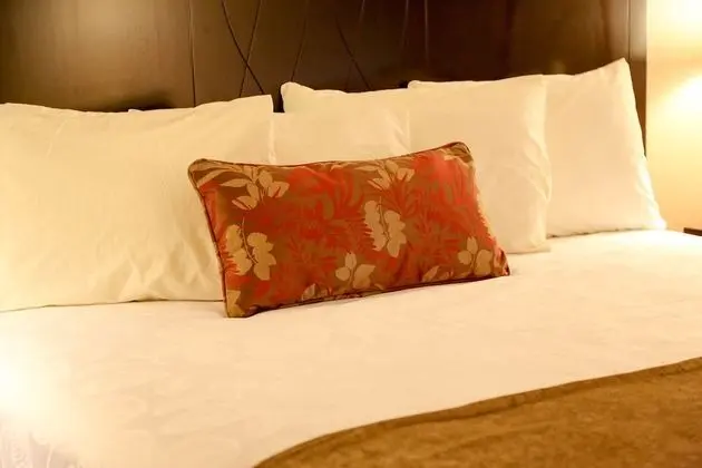 Oda, 1 En Büyük (King) Boy Yatak, Sigara İçilmez