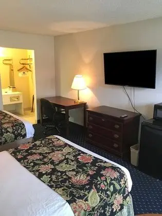 Deluxe Oda, 2 Çift Kişilik Yatak, Sigara İçilmez