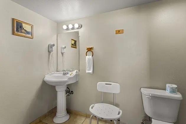 Oda, 1 En Büyük (King) Boy Yatak, Sigara İçilmez (Pet Friendly)