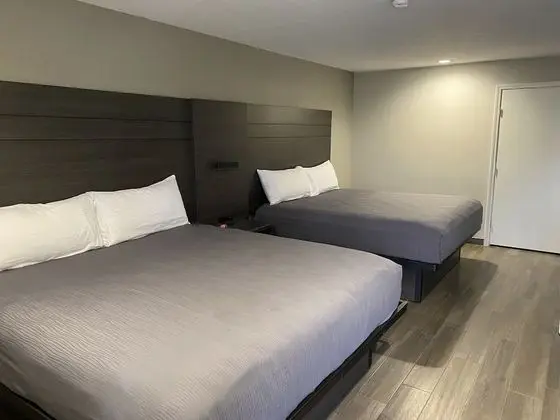 Deluxe Süit, Sigara İçilmez (2 King Beds)
