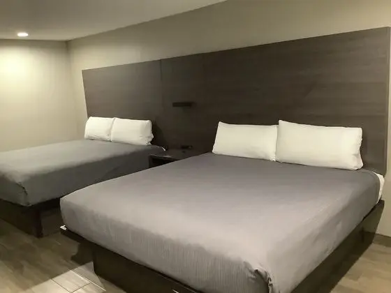 Deluxe Süit, Sigara İçilmez (2 King Beds)