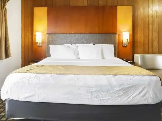 Deluxe Süit, 1 En Büyük (King) Boy Yatak, Sigara İçilmez, Küçük Mutfak (High Ceiling)