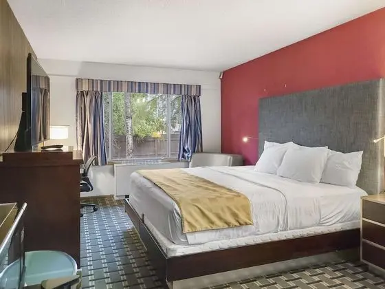 Oda, 1 En Büyük (King) Boy Yatak, Sigara İçilmez (Low Ceiling)