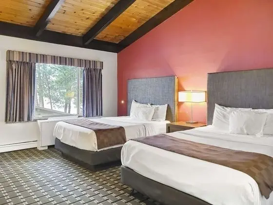 Oda, 2 Büyük (Queen) Boy Yatak, Sigara İçilmez (HIgh Ceiling)