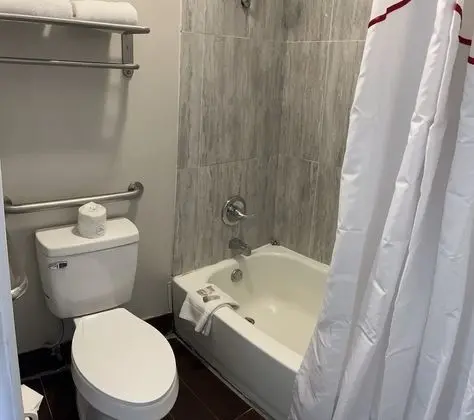 Deluxe Oda, 1 En Büyük (King) Boy Yatak, Engellilere Uygun, Sigara İçilmez