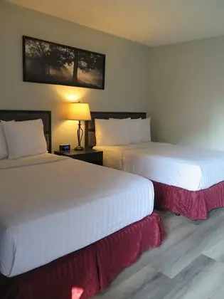 Deluxe Oda, 2 Çift Kişilik Yatak, Sigara İçilmez