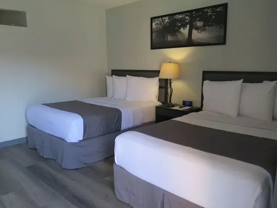Deluxe Oda, 2 Çift Kişilik Yatak, Sigara İçilmez