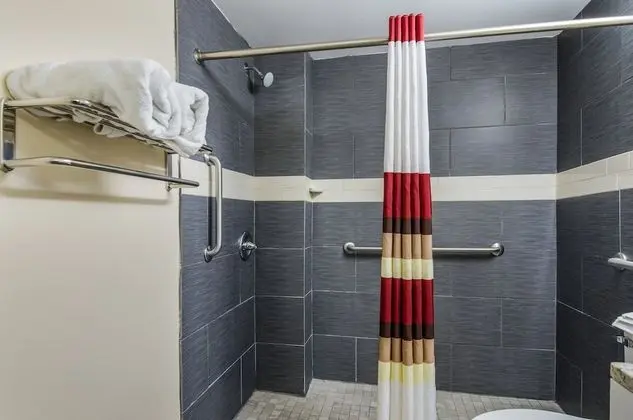 Superior Oda, 1 En Büyük (King) Boy Yatak, Engellilere Uygun, Sigara İçilmez (Roll-In Shower)