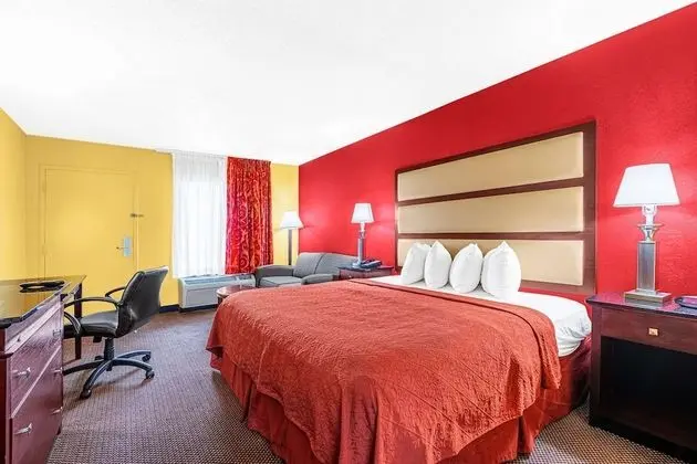 Deluxe Oda, 1 En Büyük (King) Boy Yatak, Sigara İçilebilir