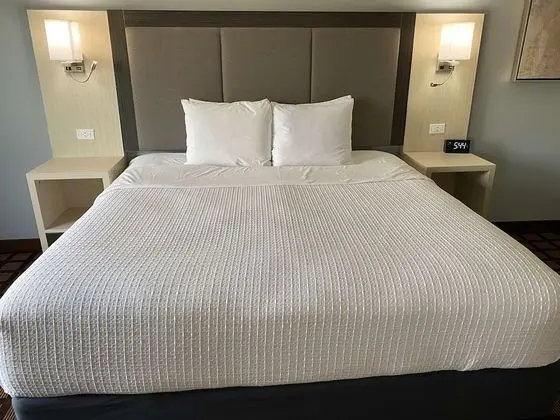 Standard Oda, 1 En Büyük (King) Boy Yatak, Sigara İçilmez, Buzdolabı ve Mikrodalga
