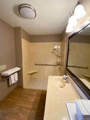 Oda, 1 En Büyük (King) Boy Yatak, Engellilere Uygun, Sigara İçilmez (Roll in Shower)