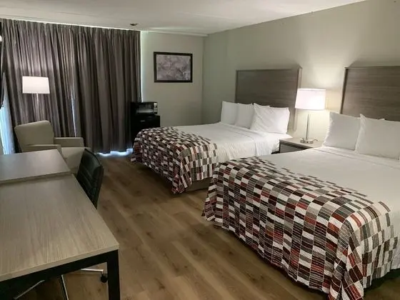Deluxe Oda, 2 Çift Kişilik Yatak, Engellilere Uygun, Sigara İçilmez