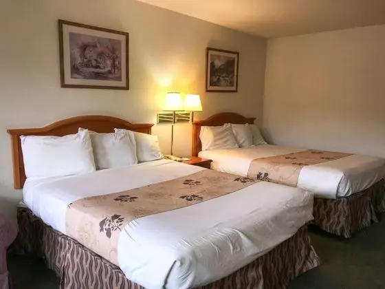 Oda, 2 Büyük (Queen) Boy Yatak, Sigara İçilmez