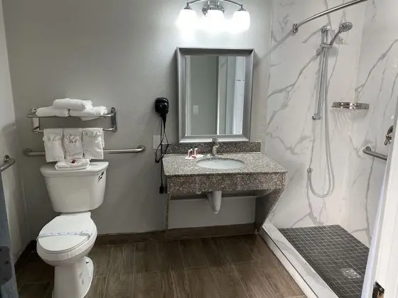 Oda, 1 En Büyük (King) Boy Yatak, Engellilere Uygun, Sigara İçilmez (Mobility)