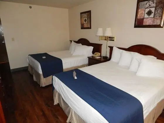 Oda, 2 Büyük (Queen) Boy Yatak, Sigara İçilmez (Pet Friendly)
