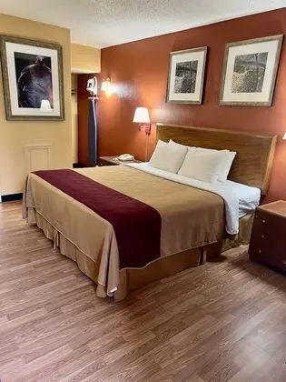 Standard Tek Kişilik Oda, 1 En Büyük (King) Boy Yatak