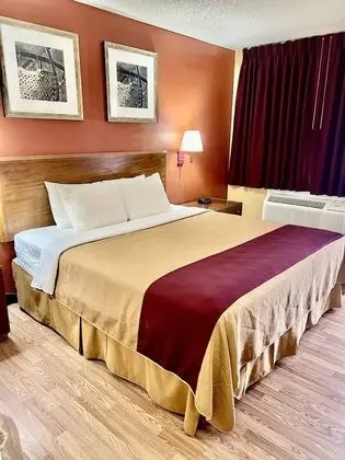 Standard Tek Kişilik Oda, 1 En Büyük (King) Boy Yatak, Sigara İçilebilir