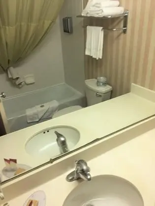 Deluxe Oda, 2 Çift Kişilik Yatak, Sigara İçilmez