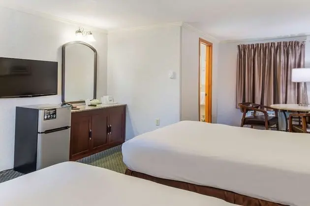 Deluxe Oda, 2 Çift Kişilik Yatak