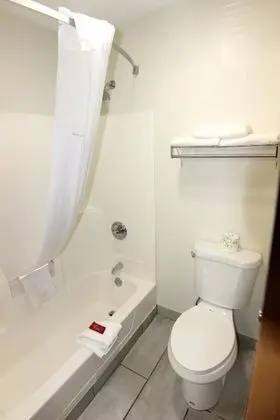 Süit, 1 En Büyük (King) Boy Yatak ve Çekyat, Sigara İçilmez, Sıcak Su Küveti (with Sofabed)