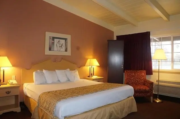 Oda, 1 En Büyük (King) Boy Yatak, Engellilere Uygun, Sigara İçilmez