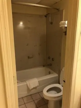 Oda, 1 En Büyük (King) Boy Yatak, Sigara İçilebilir