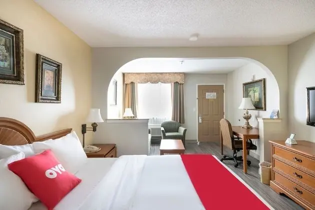 Premium Oda, 1 En Büyük (King) Boy Yatak, Engellilere Uygun