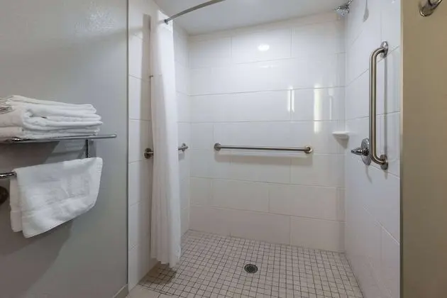Oda, 1 Büyük (Queen) Boy Yatak, Engellilere Uygun, Sigara İçilmez (Mobility,Roll-In Shower)