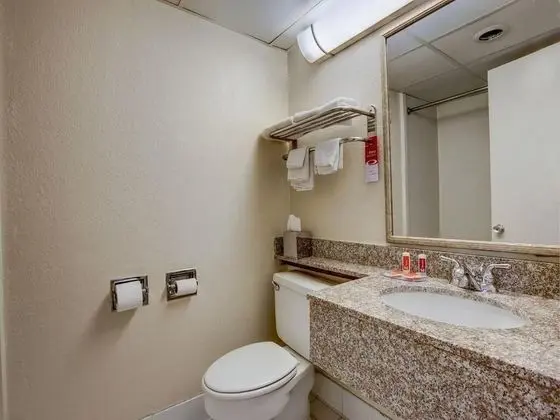 Queen Room Non-Smoking