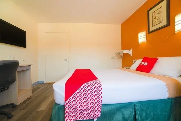 Oda, 1 Büyük (Queen) Boy Yatak, Engellilere Uygun