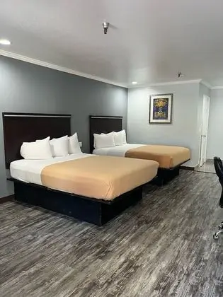 Basic Tek Büyük Yataklı Oda, 2 Büyük (Queen) Boy Yatak (Two Queen beds)