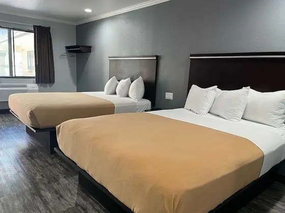 Basic Tek Büyük Yataklı Oda, 2 Büyük (Queen) Boy Yatak (Two Queen beds)
