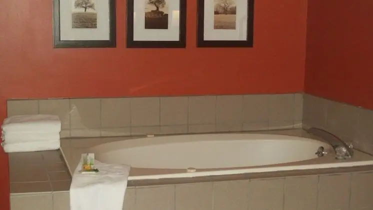 Deluxe Stüdyo Süit, 1 En Büyük (King) Boy Yatak, Sigara İçilmez, Göl Manzaralı