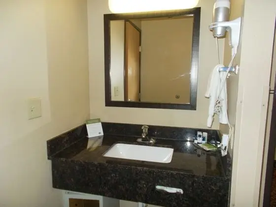 Presidential Süit, 1 En Büyük (King) Boy Yatak, Sigara İçilmez (Premier Presidential Suite)