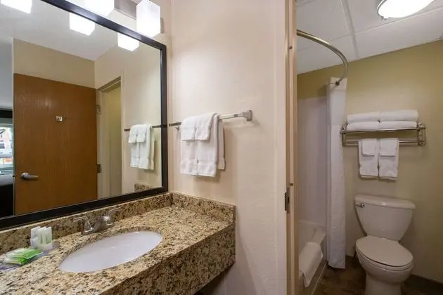 Süit, 2 Büyük (Queen) Boy Yatak, Sigara İçilmez (One Bedroom)