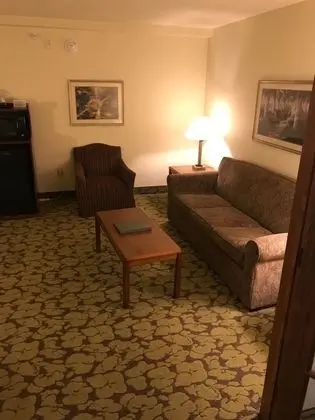 Deluxe Süit, 1 En Büyük (King) Boy Yatak, Sigara İçilmez (One-Bedroom)
