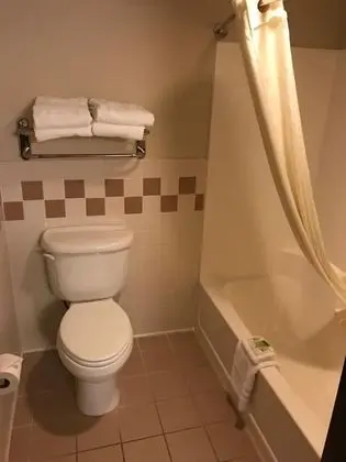 Deluxe Süit, 1 En Büyük (King) Boy Yatak, Sigara İçilmez (One-Bedroom)