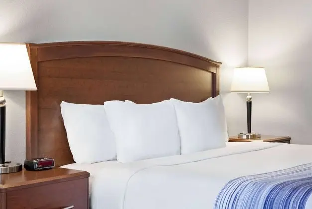 Deluxe Süit, 1 En Büyük (King) Boy Yatak, Sigara İçilmez