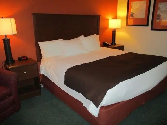 Oda, 1 En Büyük (King) Boy Yatak, Sigara İçilmez (One-Bedroom)