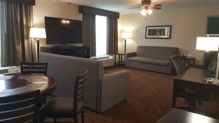Süit, 1 En Büyük (King) Boy Yatak, Sigara İçilmez (One-Bedroom)