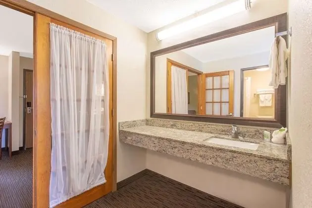 Süit, 1 En Büyük (King) Boy Yatak, Sigara İçilmez (One-Bedroom)