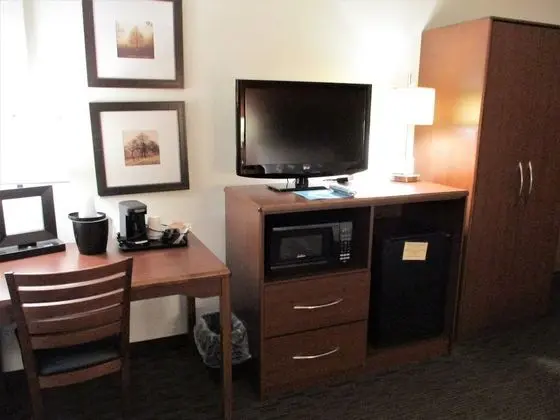 Süit, 1 En Büyük (King) Boy Yatak, Sigara İçilmez (One-Bedroom)