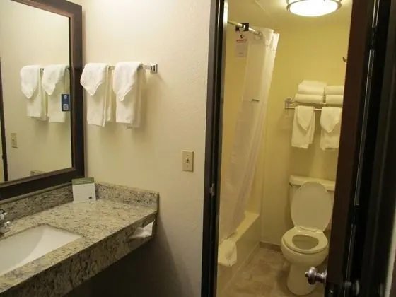 Süit, 1 En Büyük (King) Boy Yatak, Sigara İçilmez (One-Bedroom)