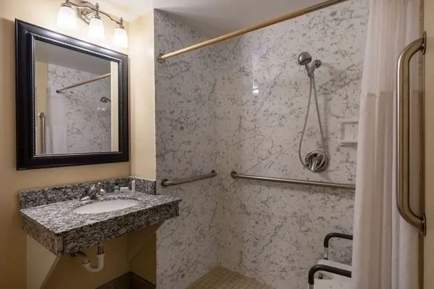 Oda, 1 En Büyük (King) Boy Yatak, Engellilere Uygun, Sigara İçilmez (Mobility, Bathtub w/Grab Bars)