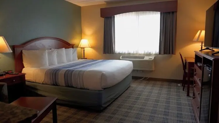 Deluxe Stüdyo Süit, 1 En Büyük (King) Boy Yatak, Sigara İçilmez