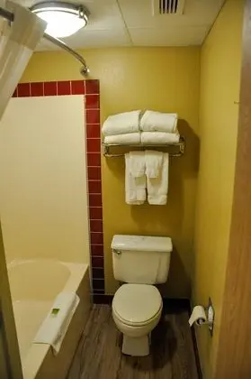 Premier Stüdyo Süit, 1 En Büyük (King) Boy Yatak, Sigara İçilmez