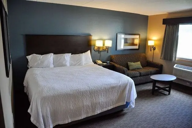 Stüdyo Süit, 1 En Büyük (King) Boy Yatak, Sigara İçilmez