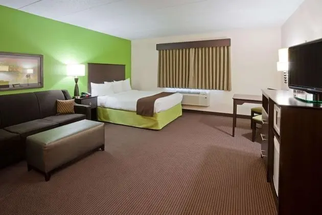 Premier Süit, 1 Yatak Odası, Sigara İçilmez (1 King Bed)