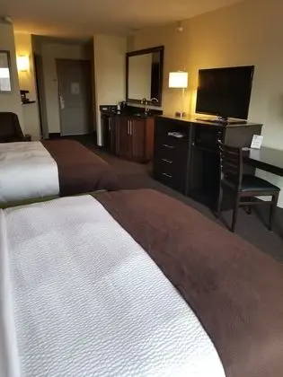 Deluxe Oda, 2 Büyük (Queen) Boy Yatak, Sigara İçilmez