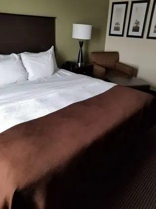 Oda, 1 En Büyük (King) Boy Yatak, Sigara İçilmez